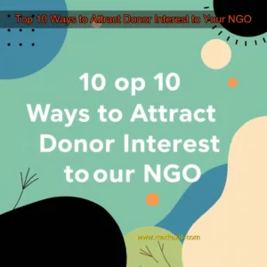 Artistic representation for Top 10 Ways to Attract Donor Interest to Your NGO