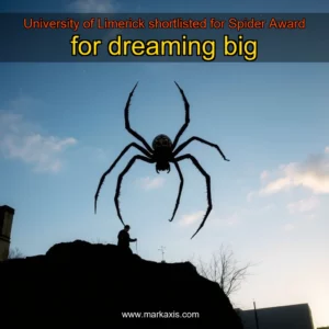 Read more about the article University of Limerick shortlisted for Spider Award for dreaming big