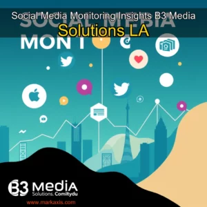 Artistic representation for Social Media Monitoring Insights B3 Media Solutions LA