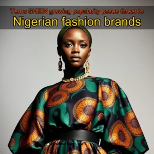 Artistic representation for Temu SHEIN growing popularity poses threat to Nigerian fashion brands